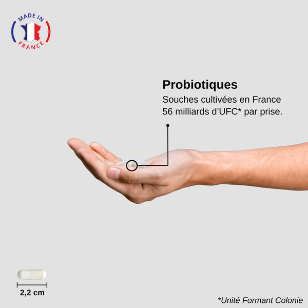 Probiotiques Transit